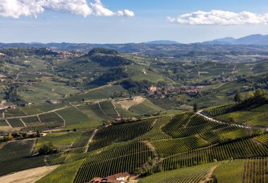 La Morra 'dan Langhe üzüm bağlarının manzarası, UNESCO Sitesi, Piedmont, İtalya