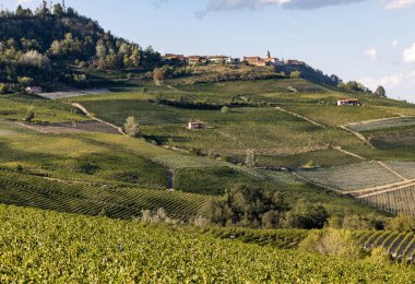 Barolo ve La Morra yakınlarındaki Langhe üzüm bağları, Unesco Sitesi, Piedmont, İtalya