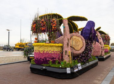 Noordwijk, Hollanda - 22 Nisan 2023: Bloemencorso Bollenstreek 'te Noordwijk' ten Hollanda 'daki Haarlem' e her yıl düzenlenen Bahar Çiçeği Geçidi 'nde muhteşem çiçekler kaplandı. 