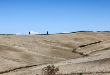  Tuscany 'deki San Quirico yakınlarındaki kırsal alan. İtalya