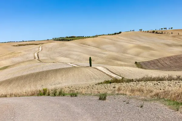  Tuscany 'deki San Quirico yakınlarındaki kırsal alan. İtalya