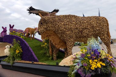 Noordwijk, Hollanda - 22 Nisan 2023: Bloemencorso Bollenstreek 'te Noordwijk' ten Hollanda 'daki Haarlem' e her yıl düzenlenen Bahar Çiçeği Geçidi 'nde muhteşem çiçekler kaplandı. 