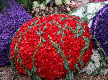 Noordwijkerhout, Hollanda - 21 Nisan 2023: Akşam aydınlanmadan önce lalelerden ve sümbüllerden yapılan dekorasyonlar