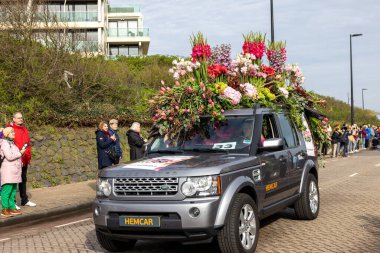 Noordwijk, Hollanda - 22 Nisan 2023: Bloemencorso Bollenstreek 'te Noordwijk' ten Hollanda 'daki Haarlem' e her yıl düzenlenen Bahar Çiçeği Geçidi 'nde muhteşem çiçekler kaplandı. 