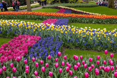 Keukenhof, Lisse Hollanda - 18 Nisan 2023: Hollanda, Lisse 'deki Keukenhof Bahçesi' nde renkli çiçekler.