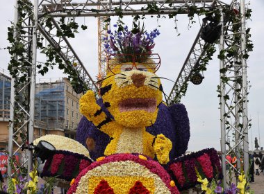 Noordwijk, Hollanda - 22 Nisan 2023: Bloemencorso Bollenstreek 'te Noordwijk' ten Hollanda 'daki Haarlem' e her yıl düzenlenen Bahar Çiçeği Geçidi 'nde muhteşem çiçekler kaplandı. 