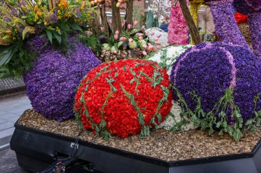 Noordwijkerhout, Netherlands - April 21, 2023: Decorations made of tulips and hyacinths presented before the evening illuminated Flower Parade Bollenstreek clipart