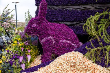 Noordwijk, Hollanda - 22 Nisan 2023: Bloemencorso Bollenstreek 'te Noordwijk' ten Hollanda 'daki Haarlem' e her yıl düzenlenen Bahar Çiçeği Geçidi 'nde muhteşem çiçekler kaplandı. 