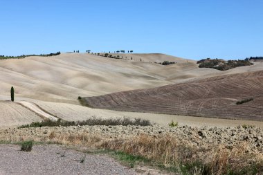  The rural landscape near San Quirico in Tuscany. Italy clipart