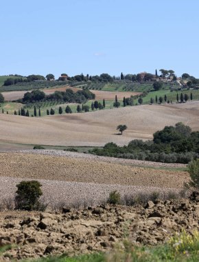  The rural landscape near Pienza in Tuscany. Italy clipart