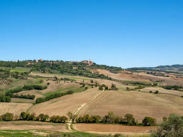  Tuscany 'deki Pienza yakınlarındaki kırsal alan. İtalya
