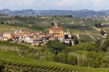 The town of Barolo, with the Falletti castle, surrounded by vineyards in Langhe region. Piedmont, Italy