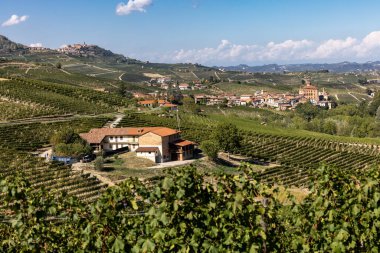 Langhe vineyards near Barolo Unesco Site, Piedmont, Italy