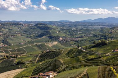 La Morra 'dan Langhe üzüm bağlarının manzarası, UNESCO Sitesi, Piedmont, İtalya