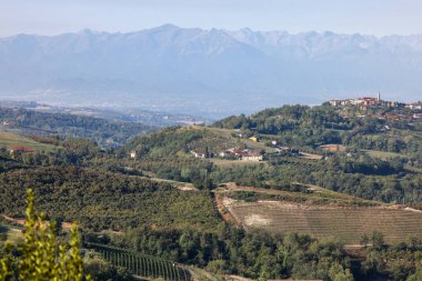 Arka planda Alpler olan Piedmont 'taki Langhe-Roero tepelerinin manzarası. İtalya