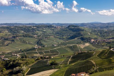 La Morra 'dan Langhe üzüm bağlarının manzarası, UNESCO Sitesi, Piedmont, İtalya