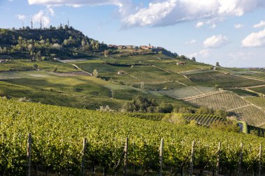 Barolo ve La Morra yakınlarındaki Langhe üzüm bağları, Unesco Sitesi, Piedmont, İtalya