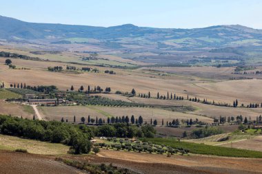  Tuscany 'deki Pienza yakınlarındaki kırsal alan. İtalya