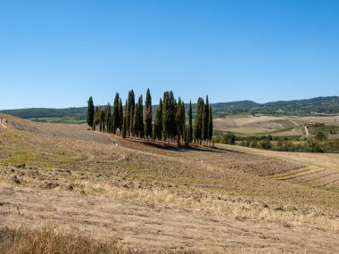  Tuscany 'deki San Quirico yakınlarındaki kırsal alan. İtalya