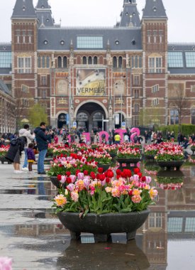 Amsterdam, Hollanda - 21 Nisan 2023: Amsterdam 'daki Rijksmuseum' un önündeki gölette renkli laleler. Hollanda
