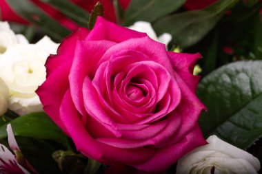 Çiçek buketinde güzel kırmızı bir gül