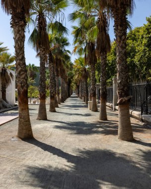 Malaga 'daki Paseo del Parque. Üstüste dizilmiş hurma ağaçları, güzel kokulu bitkiler, çeşmeler, heykeller.... 