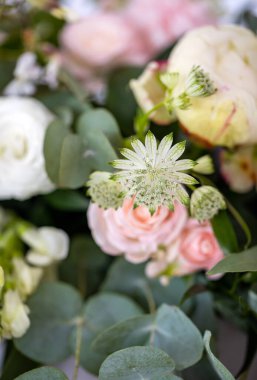 Gülleri, karanfilleri ve astrantisi olan güzel bir çiçek buketi.