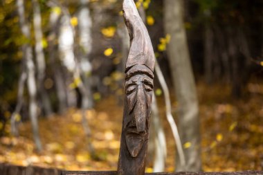 Ormanın arka planında sonbahar renklerinde bilinmeyen bir sanatçı tarafından tahtaya oyulmuş bir kafa.