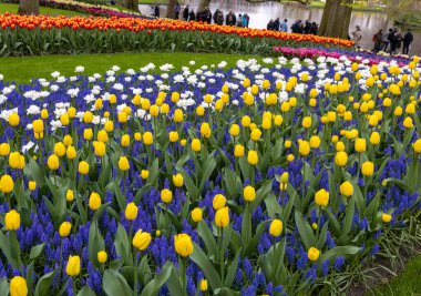 Keukenhof, Lisse Hollanda - 18 Nisan 2023: Hollanda, Lisse 'deki Keukenhof Garden' ı ziyaret edenler.