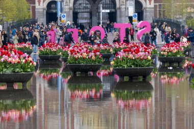 Amsterdam, Hollanda - 21 Nisan 2023: Amsterdam 'daki Rijksmuseum' un önündeki gölette renkli laleler. Hollanda