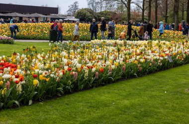 Keukenhof, Lisse Hollanda - 18 Nisan 2023: Hollanda, Lisse 'deki Keukenhof Garden' ı ziyaret edenler.