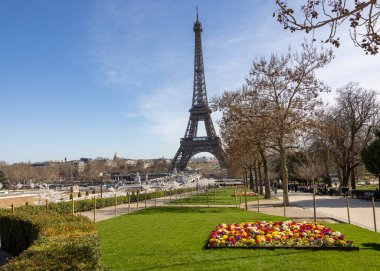 Paris, Fransa - 20 Mart 2025: Bahar Paris 'te. Arka planda Japon kiraz ve primula çiçekleri Trocadero ve Eyfel Kulesi boyunca çiçek açar.