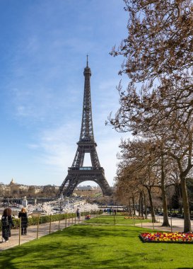 Paris, Fransa - 20 Mart 2025: Bahar Paris 'te. Arka planda Japon kiraz ve primula çiçekleri Trocadero ve Eyfel Kulesi boyunca çiçek açar.