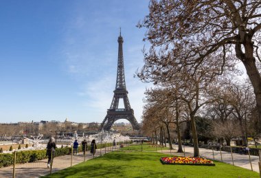 Paris, Fransa - 20 Mart 2025: Bahar Paris 'te. Arka planda Japon kiraz ve primula çiçekleri Trocadero ve Eyfel Kulesi boyunca çiçek açar.