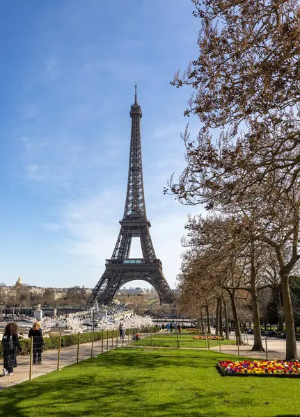 Paris, Fransa - 20 Mart 2025: Bahar Paris 'te. Arka planda Japon kiraz ve primula çiçekleri Trocadero ve Eyfel Kulesi boyunca çiçek açar.