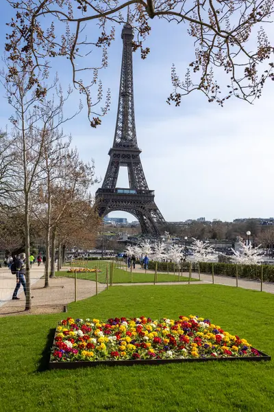 Paris, Fransa - 20 Mart 2025: Bahar Paris 'te. Arka planda Japon kiraz ve primula çiçekleri Trocadero ve Eyfel Kulesi boyunca çiçek açar.