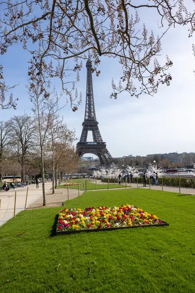 Paris, Fransa - 20 Mart 2025: Bahar Paris 'te. Arka planda Japon kiraz ve primula çiçekleri Trocadero ve Eyfel Kulesi boyunca çiçek açar.