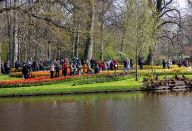 Keukenhof, Lisse Hollanda - 18 Nisan 2023: Hollanda, Lisse 'deki Keukenhof Garden' ı ziyaret edenler.