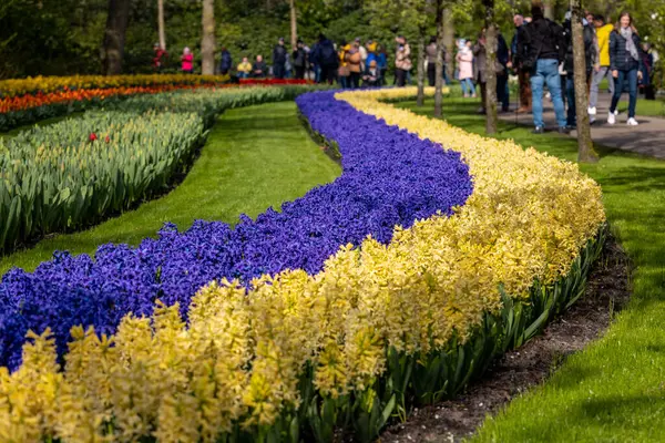 Keukenhof, Lisse Hollanda - 18 Nisan 2023: Hollanda, Lisse 'deki Keukenhof Garden' ı ziyaret edenler.