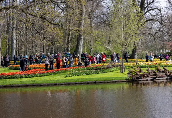 Keukenhof, Lisse Hollanda - 18 Nisan 2023: Hollanda, Lisse 'deki Keukenhof Garden' ı ziyaret edenler.
