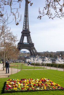 Paris, Fransa - 20 Mart 2025: Bahar Paris 'te. Arka planda Japon kiraz ve primula çiçekleri Trocadero ve Eyfel Kulesi boyunca çiçek açar.