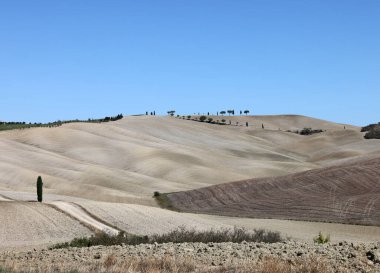  Tuscany 'deki San Quirico yakınlarındaki kırsal alan. İtalya