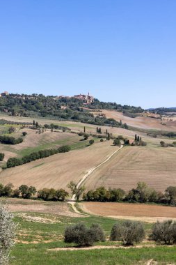  Tuscany 'deki Pienza yakınlarındaki kırsal alan. İtalya