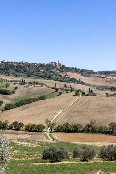  Tuscany 'deki Pienza yakınlarındaki kırsal alan. İtalya