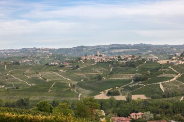 Langhe vineyards near Serralunga d'Alba. Unesco Site, Piedmont, Italy