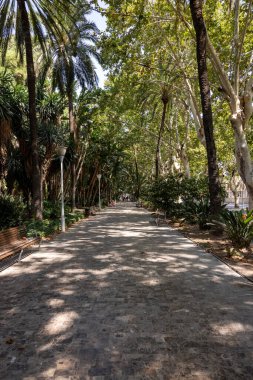 Malaga 'daki Paseo del Parque. Üstüste dizilmiş hurma ağaçları, güzel kokulu bitkiler, çeşmeler, heykeller.... 