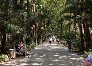 Malaga, İspanya - 10 Eylül 2023: Malaga 'daki Paseo del Parque. Üstüste dizilmiş hurma ağaçları, güzel kokulu bitkiler, çeşmeler, heykeller.... 