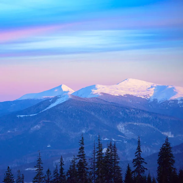 Piękne Karpaty Mgle Plac Zimowy Zachód Słońca Nad Górskim Krajobrazem Zdjęcia Stockowe bez tantiem