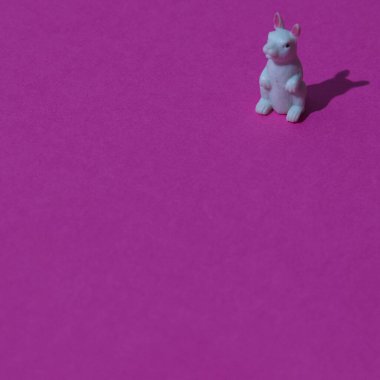 White rabbit in right up corner on a pink background with copy space. A minimalist Chinese New Year composition.