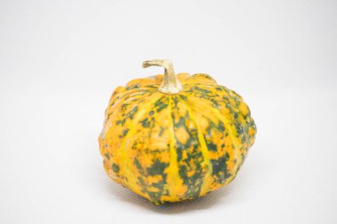 Çizgili su kabağı beyaz bir arkaplanda oturur.